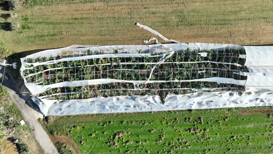 Antalya'da Hortumun Vurduğu Seralara Acil Destek 7